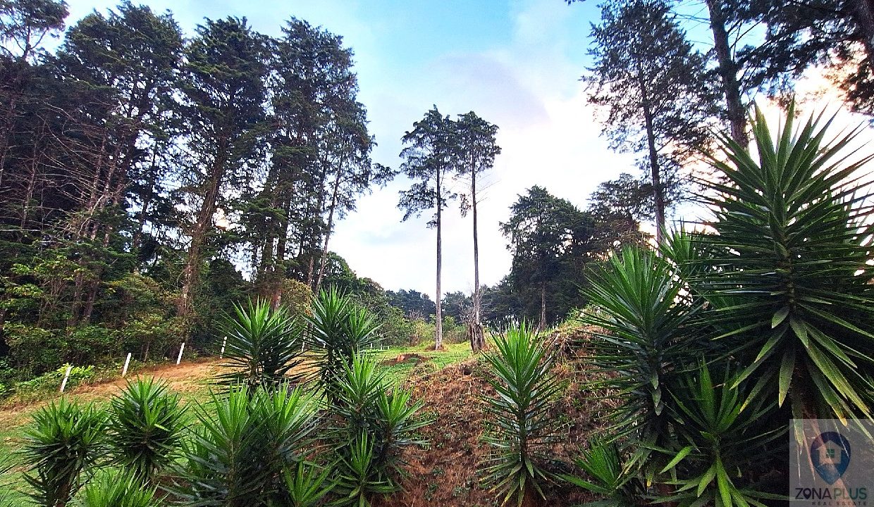 Lotes en San  Rafael de Heredia