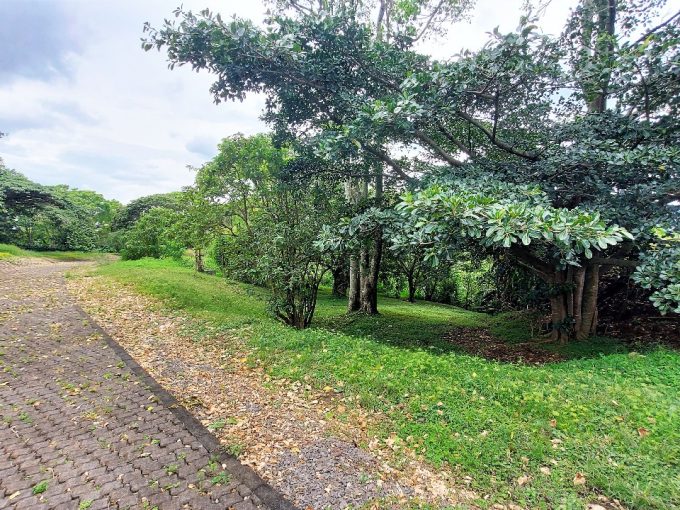 Santo Domingo de Heredia Costa Rica