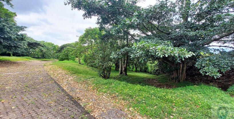 Santo Domingo de Heredia Costa Rica