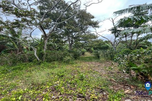 Lote en venta en Santo Domingo Heredia