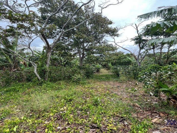 Lote en venta en Santo Domingo Heredia