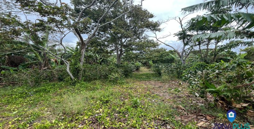 Lote en venta en Santo Domingo Heredia