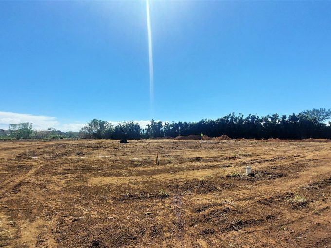 la ceiba de alajuela