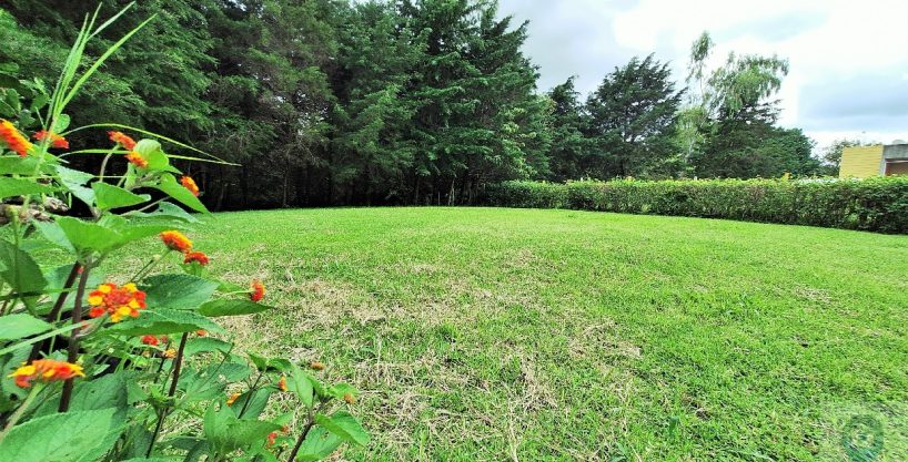 Lote en San Pablo de Barva