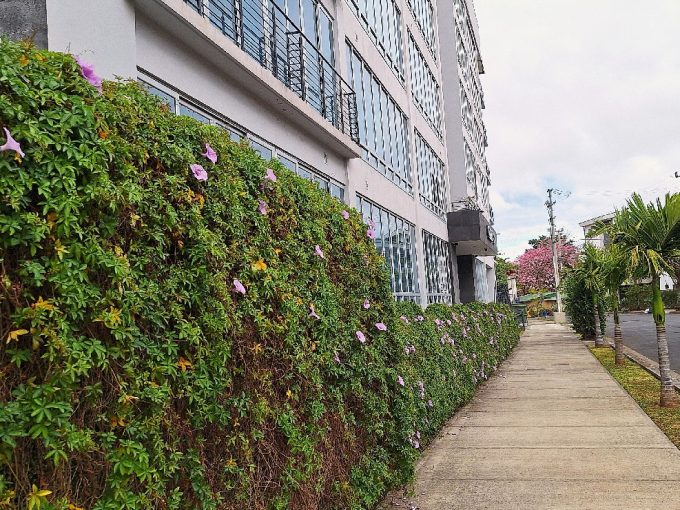 edificio en venta en Zapote