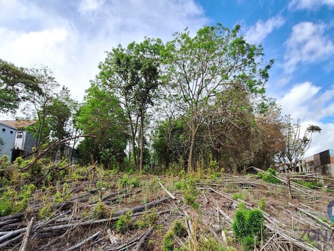 Terreno para desarrollo en San Pedro
