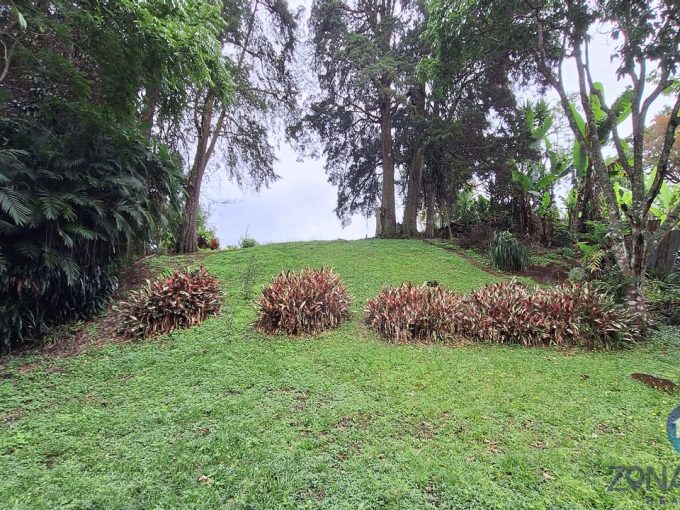 Lote San Isidro de Heredia