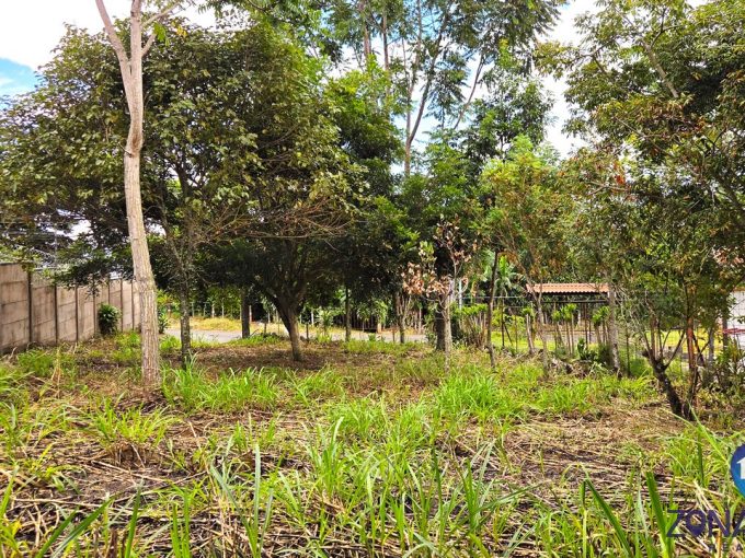 lote en Poás Alajuela